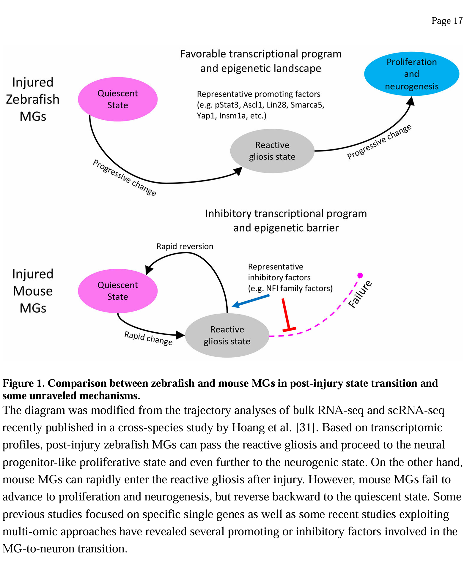 Neuronal Fate Reprogramming