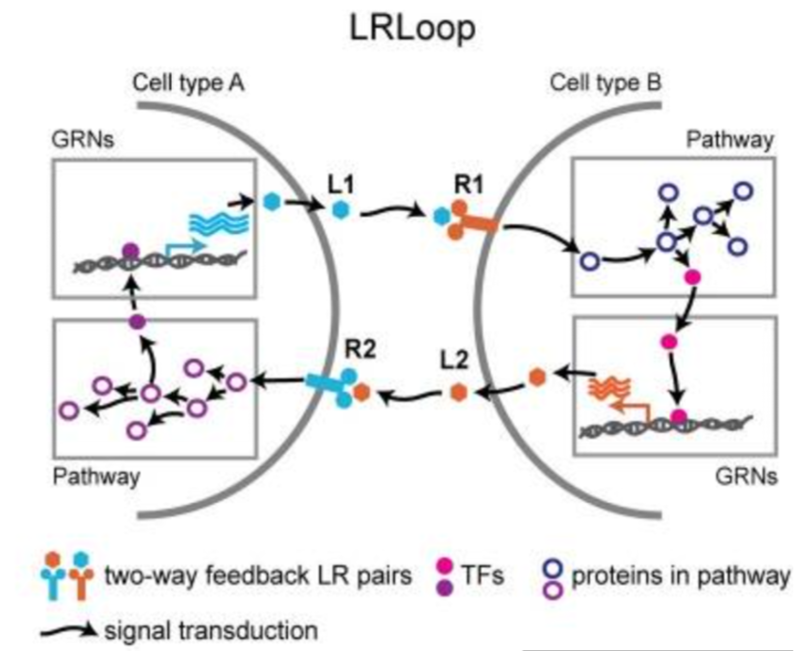 Neuron-Glia Interactions